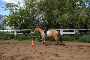 Side view of anonymous female in protective helmet riding horse in paddock in countryside in daytime