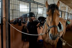 Pensive female in helmet preparing horse for riding and putting saddle on standing in light ranch barn